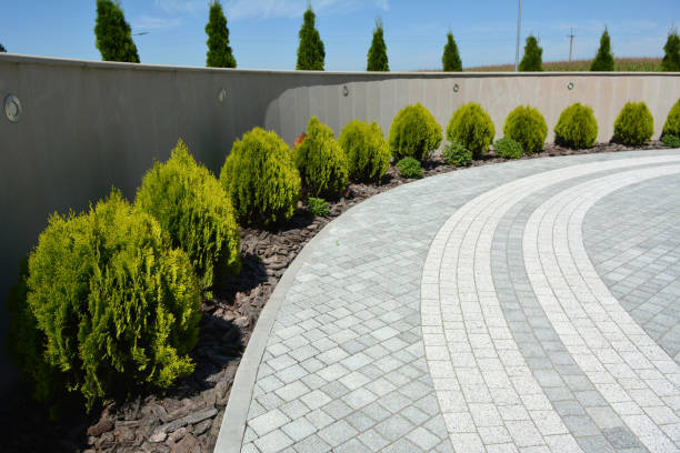 Best Driveway Repair Near Me  in West Wendover, NV